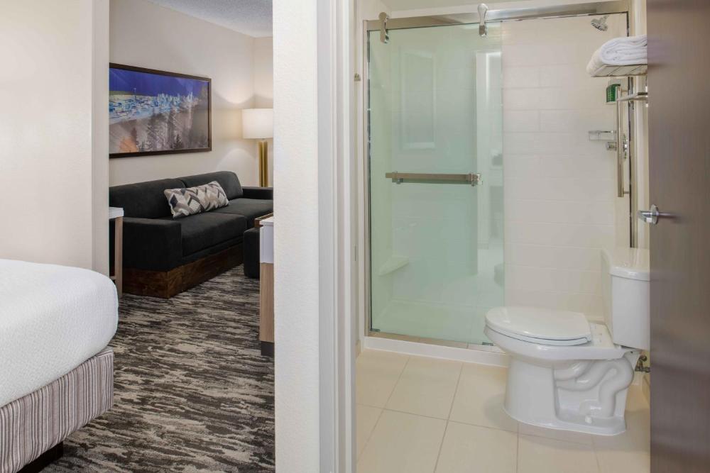 Executive King Suite with Sofa Bed interior